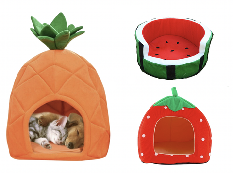 New Fruit Design Cat & small pet house carrier