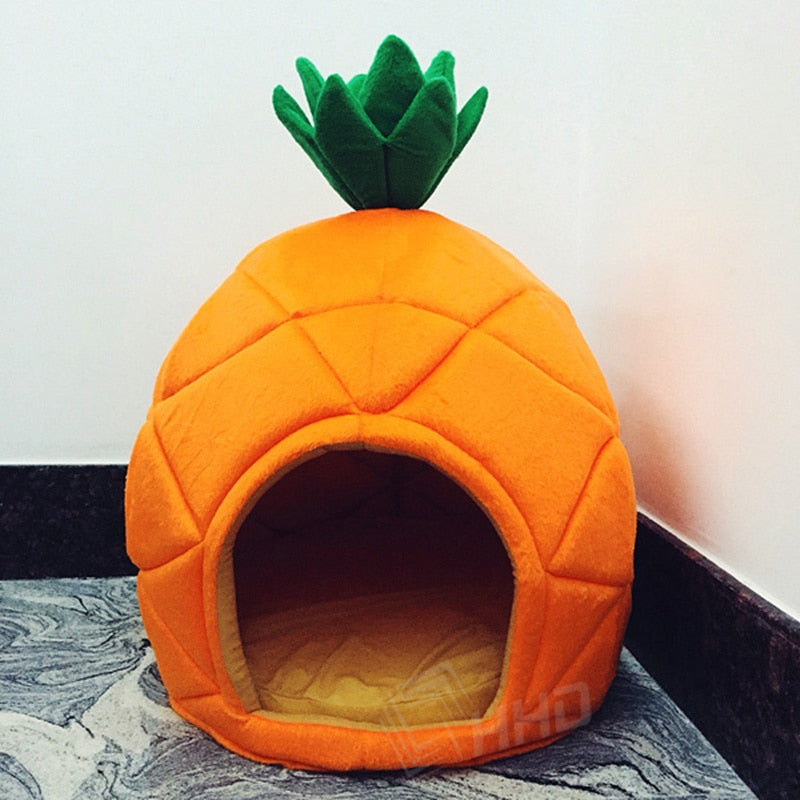 New Fruit Design Cat & small pet house carrier