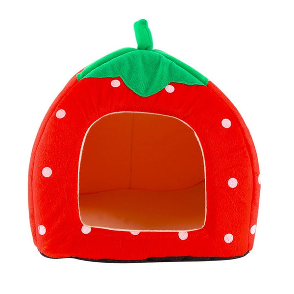 New Fruit Design Cat & small pet house carrier